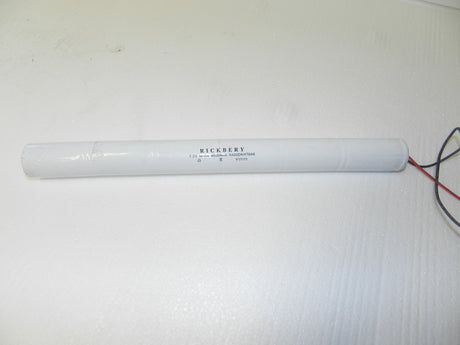 NICD 6.0V Emergency Lighting Battery D from the Batteryworldshop.com