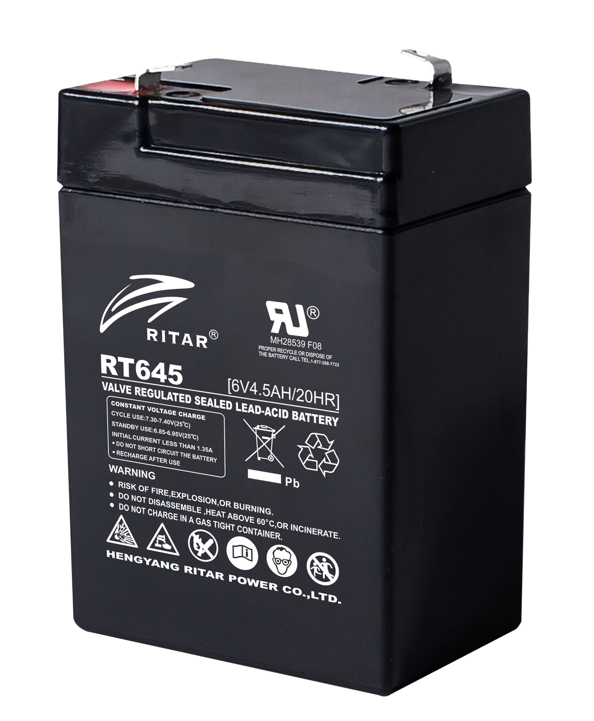 6 Volt 4.5Ah Sealed Lead Acid Battery
