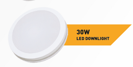 DL30W - IP65 30W LED Downlight